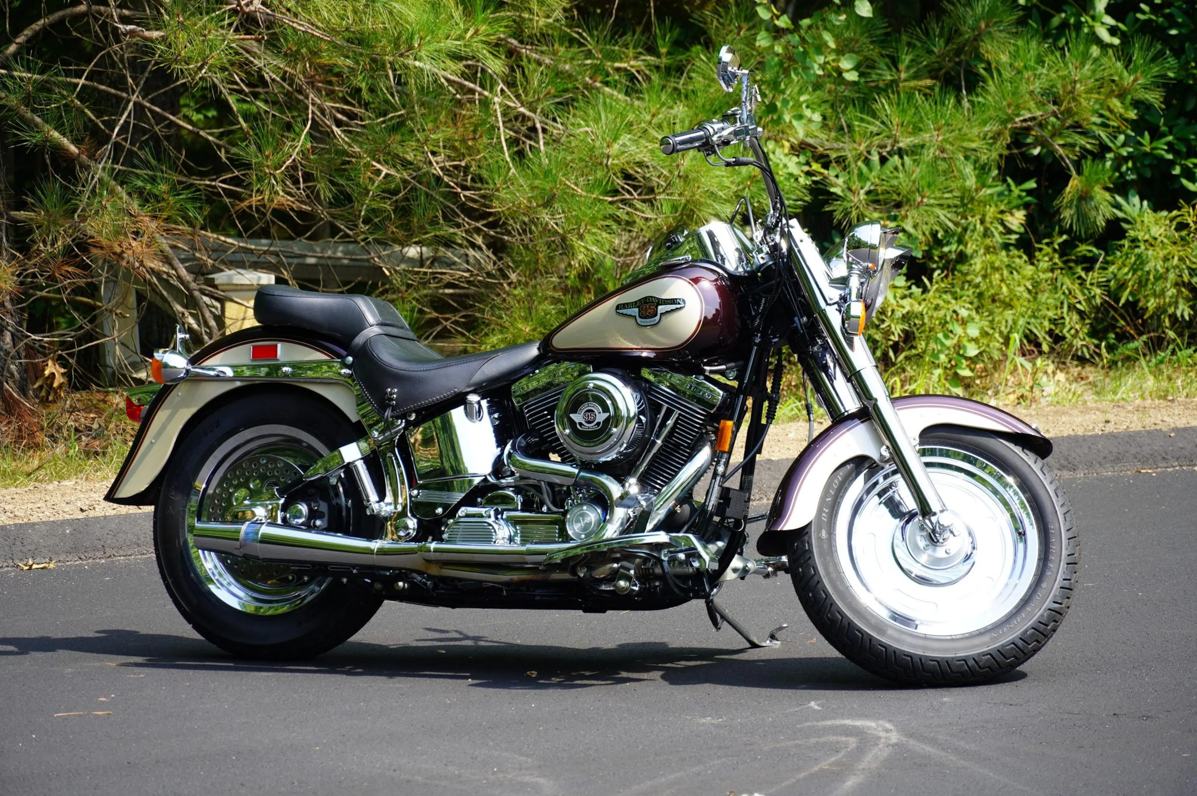 1998 Harley-Davidson FLSTF VIN 1HD1BML45WY017132 | Hagerty